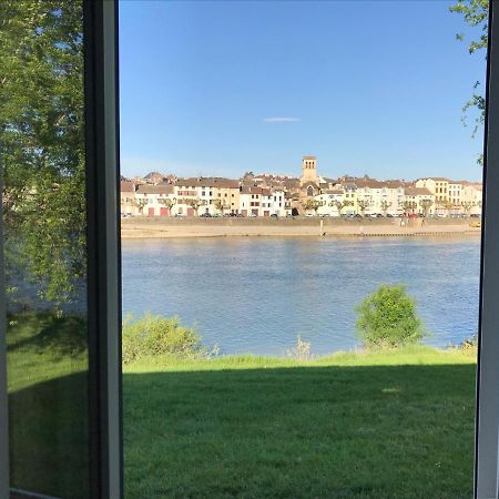 Отель Domaine Des Jardins De La Saone Турню Экстерьер фото